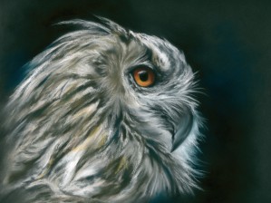 Owl Portrait in Profile