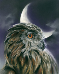Owl and Crescent Moon
