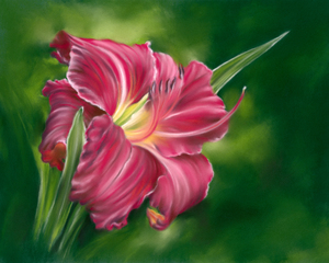 Red Daylily on Green