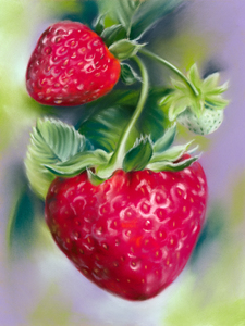 Strawberries and Leaves