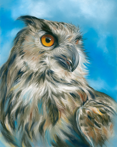 Eagle Owl on Blue