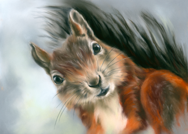 Tree Squirrel Red and Gray Print