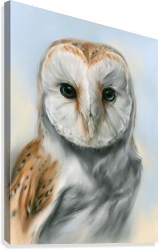 Barn Owl Perceptive Gaze Canvas Print