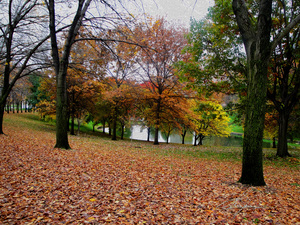 Fall On Display 2 b