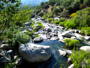 Go With The Flow 