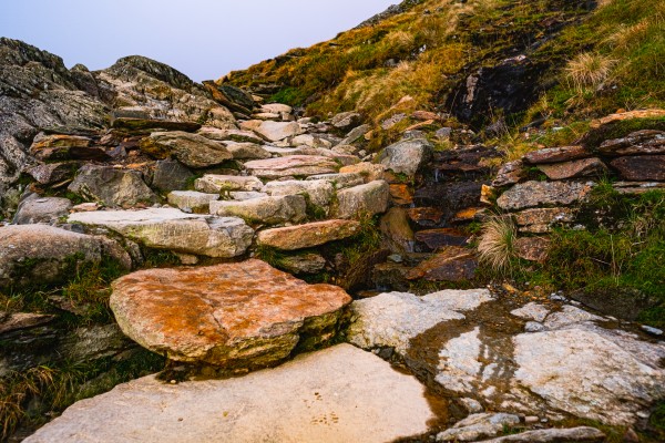 Mountain steps Print