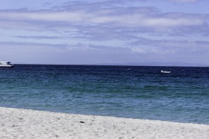 Love the Sea