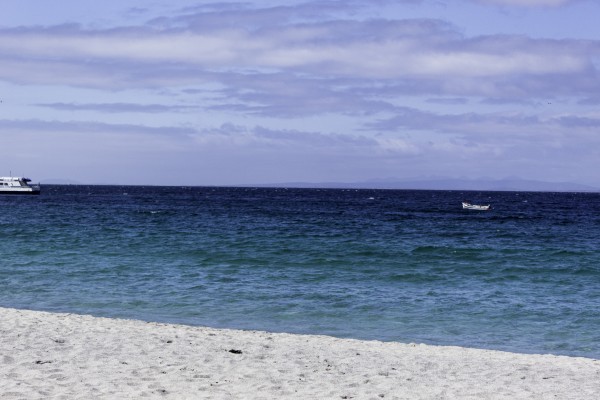 Love the Sea by George Mitchell