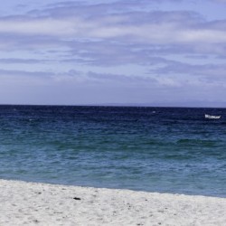 Love the Sea
