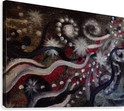 Shungite.Epiphany3.  Canvas Print