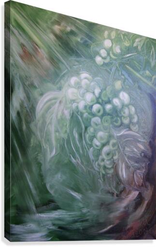 Grapes  Canvas Print