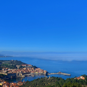 COLLIOURE 4