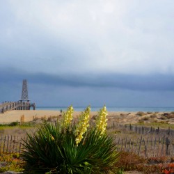 LEUCATE 2