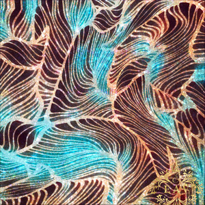 Ocean