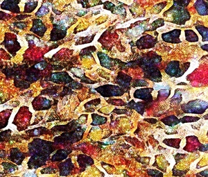 Bejewelled  Snakeskin 