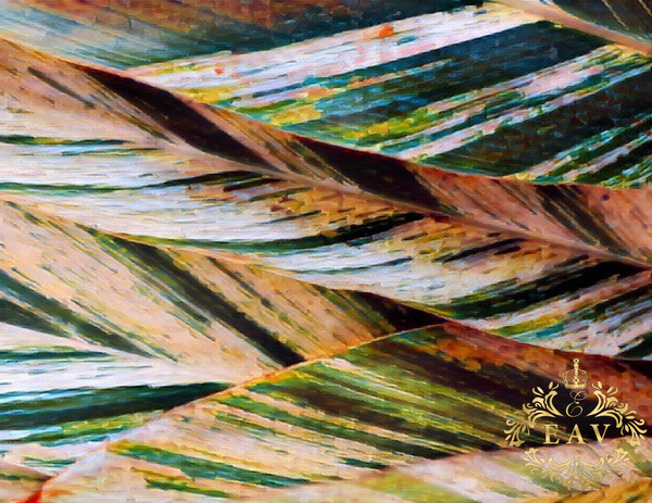 Palms   Imprimer