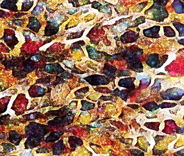 Bejewelled  Snakeskin  by Antonella Eav