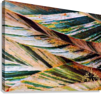 Palms   Impression sur toile
