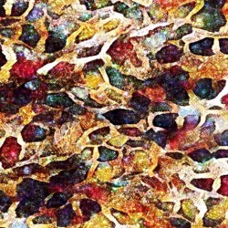 Bejewelled  Snakeskin 