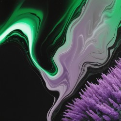 Mystical Aurora