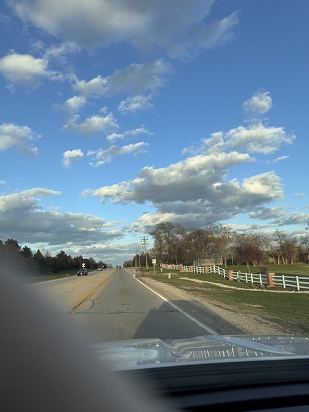 IMG 2437 by burtonmorgan