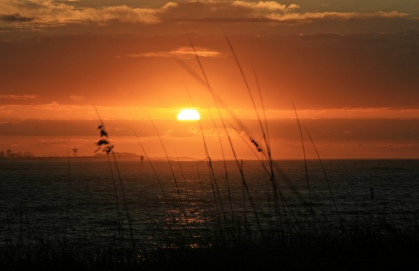Sea Grass Sunset by Deb Colombo
