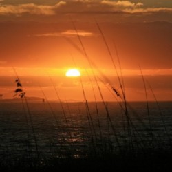 Sea Grass Sunset