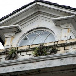 New Orleans Window Balcony