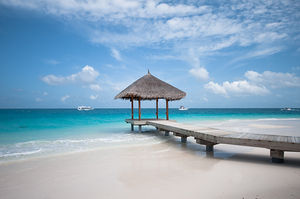 Tropical Beach Hut and Turquoise Ocean