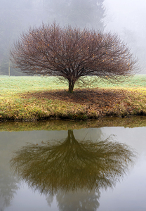 Autumnal Mirror