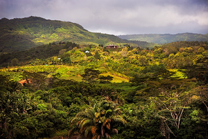 Chamarel Natural Park. Mauritius