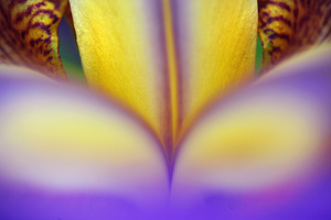 Mantra of Beauty. Wisdom Inside