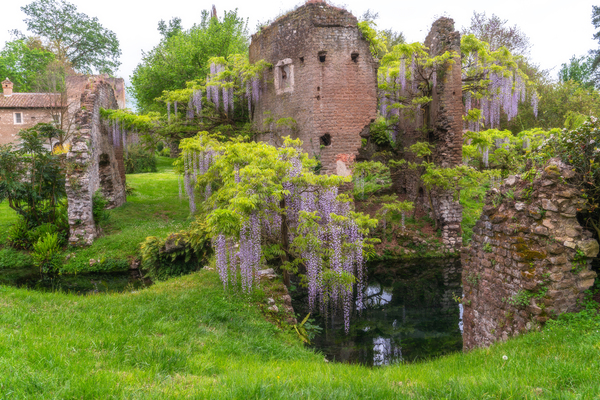 Italian Gardens - Romantic Garden of Ninfa 3  by Jenny Rainbow