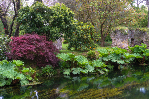 Italian Gardens - Romantic Garden of Ninfa 13 by Jenny Rainbow