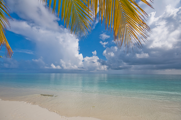 Postcard Perfection. Maldives by Jenny Rainbow
