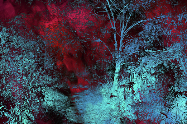 Burgundy Red MoonLight by Jenny Rainbow