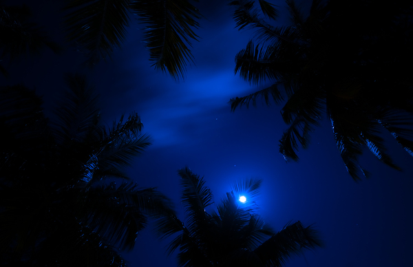 Magic of the Night Sky by Jenny Rainbow