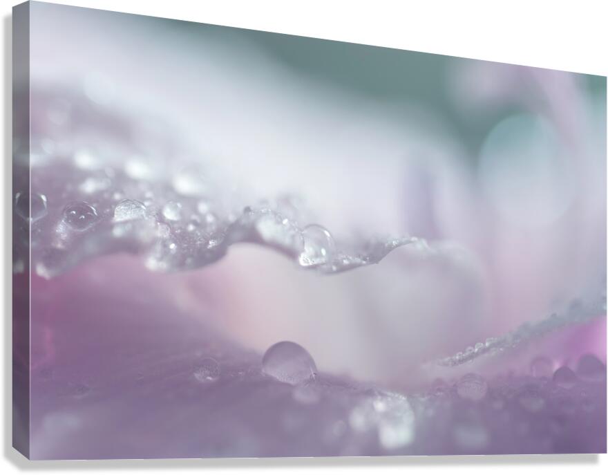 Another Realm Canvas Print
