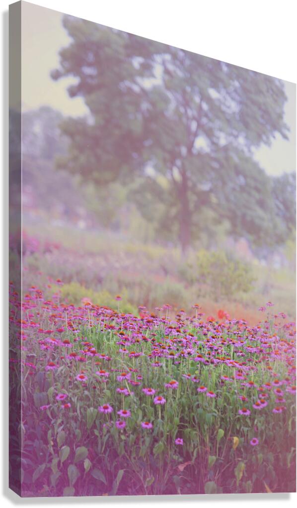 Monet Spring  Canvas Print