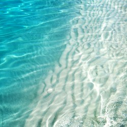 Winter Desire. Water Meditation. Five Elements