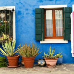 Vibrant Colors of Burano - Colourful Houses 1