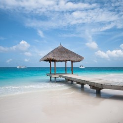 Tropical Beach Hut and Turquoise Ocean