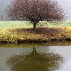Autumnal Mirror
