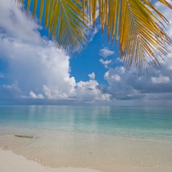 Postcard Perfection. Maldives