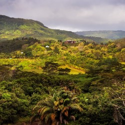 Chamarel Natural Park. Mauritius