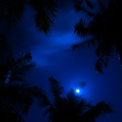 Magic of the Night Sky