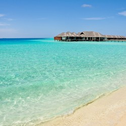 Warm Welcoming. Maldives