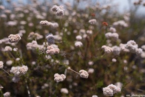 64AC139A B9B1 4286 8A9D AD07C71F393D