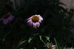 9998FA99 C413 49F8 9934 BD88AB79E180