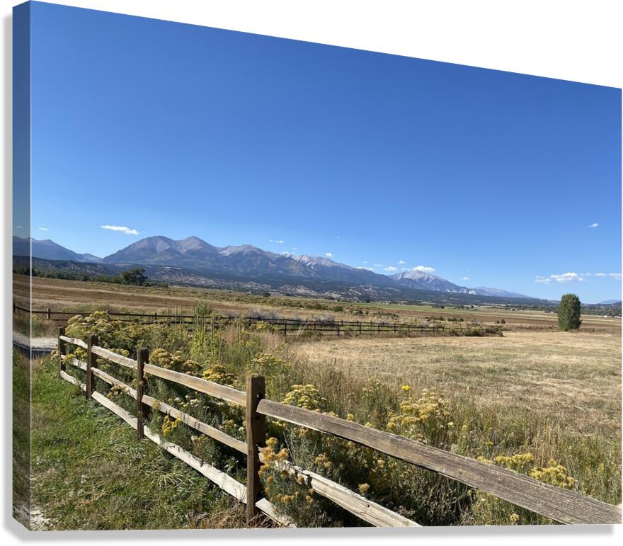 IMG 8096 Canvas Print